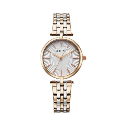 Titan Work Mode 95351KM01 Analog Two Toned Metal Strap Women Watch